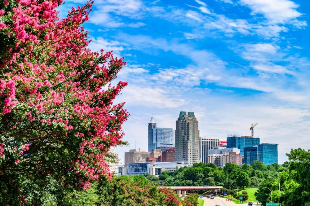 ایالت های کارولینای شمالی (North Carolina) و تگزاس (Texas)، برترین ایالات برای تجارت
